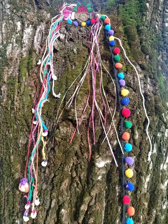 Dar la Lata — Naroa Gutiérrez Gil